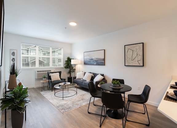 A living room with a grey couch, a black table and a potted plant.