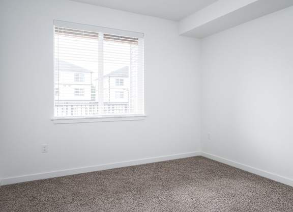 A room with a carpeted floor and a window with blinds.