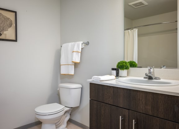 One Bedroom Apartments in Everett WA - The Waterline - Bathroom