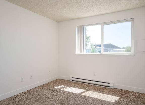 A room with a window and a carpet on the floor.