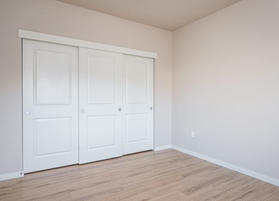 a bedroom with two closets and a wood floor