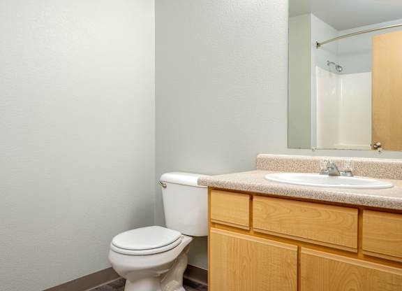 A white toilet sits next to a sink in a bathroom.