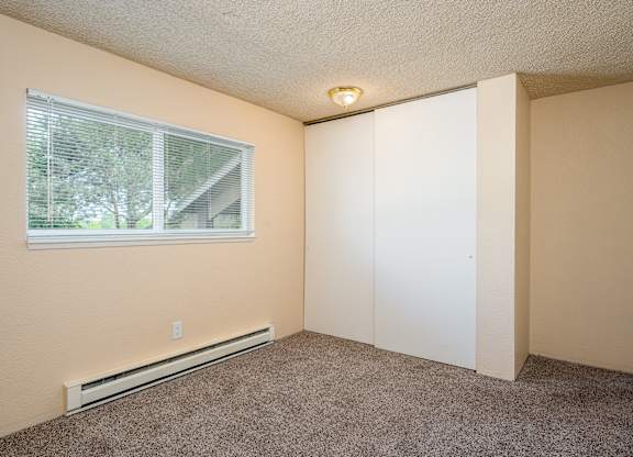 A room with a window and a carpeted floor.