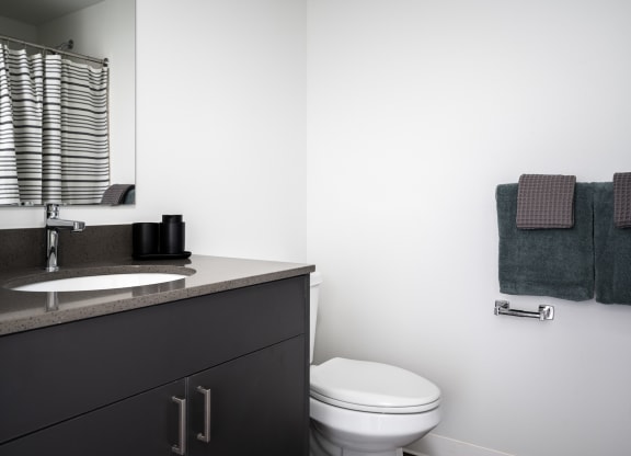a bathroom with a sink and a toilet and a mirror