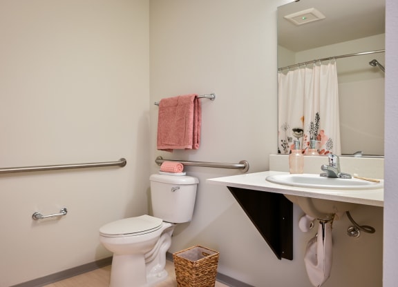 a bathroom with a toilet and a sink and a mirror
