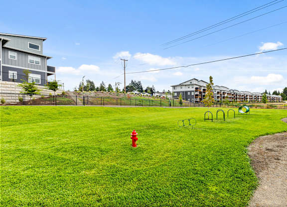 A red fire hydrant sits in the middle of a green grassy field.