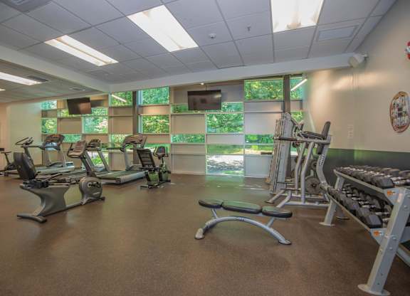 A gym with treadmills, exercise bikes, and weightlifting equipment.