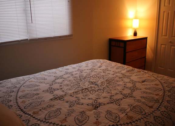A bed with a patterned comforter sits in a room with a lamp on a nightstand.