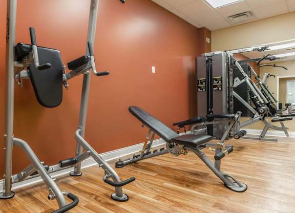 A gym with a row of weight benches and a row of weight racks.