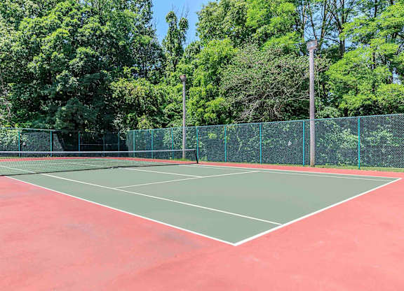 A tennis court surrounded by a green fence and trees.
