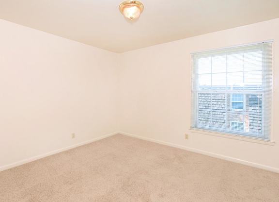 A room with a carpeted floor and a window with blinds.