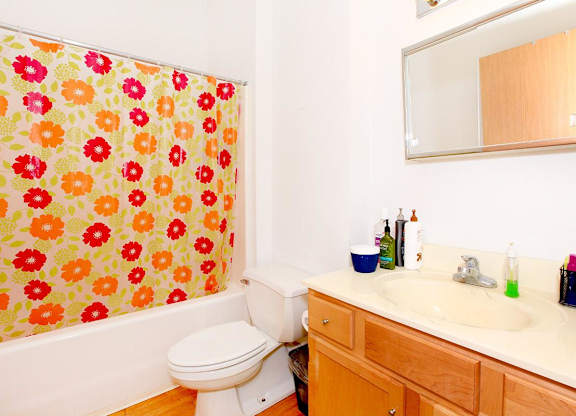 A bathroom with a floral shower curtain and a white toilet.