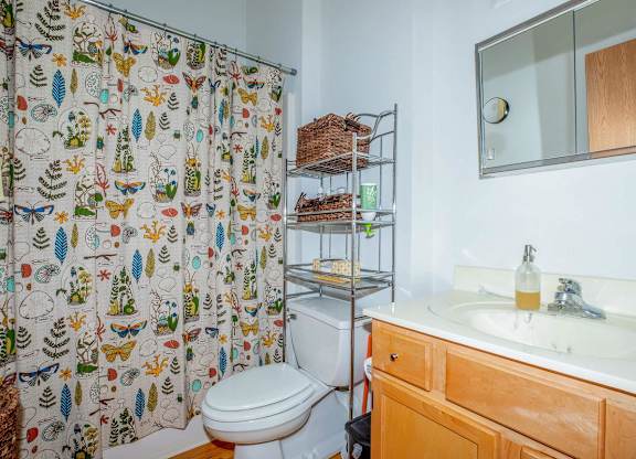 A bathroom with a toilet, sink, and shower curtain.