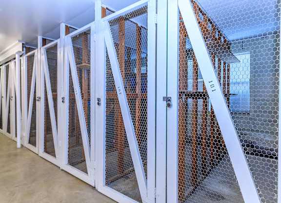 A room under construction with wooden beams and mesh panels.