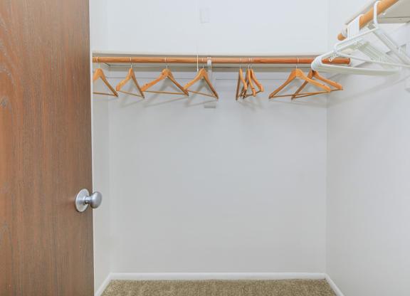A white closet with a brown door and a carpet.