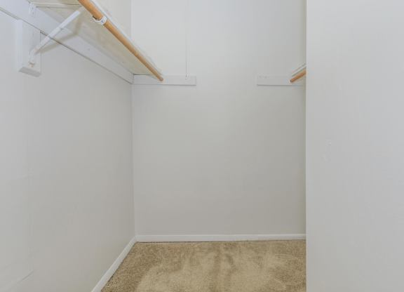 A white closet with a tan carpet.