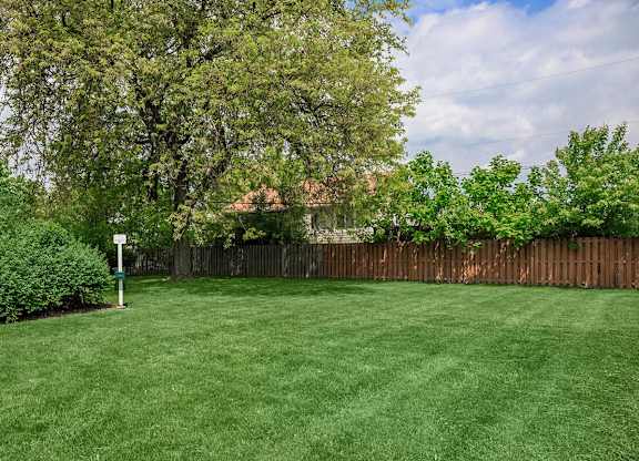 A backyard with a green lawn and a wooden fence.
