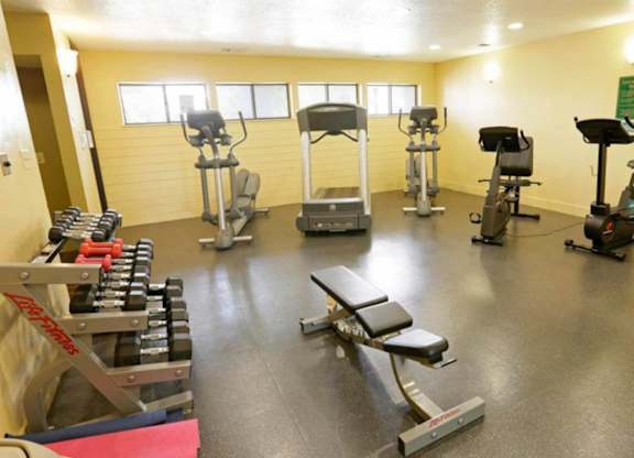 A gym with a variety of equipment including treadmills, stationary bikes, and weight machines.