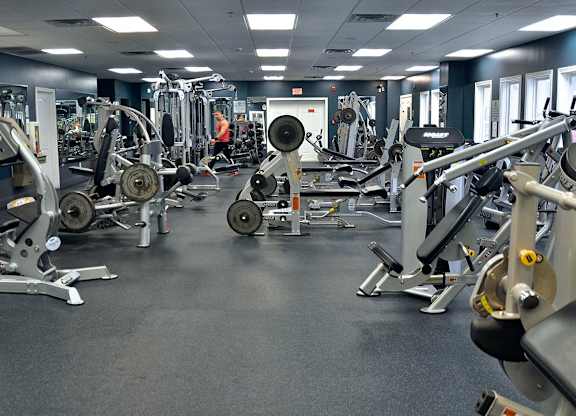 A gym with a variety of exercise equipment.