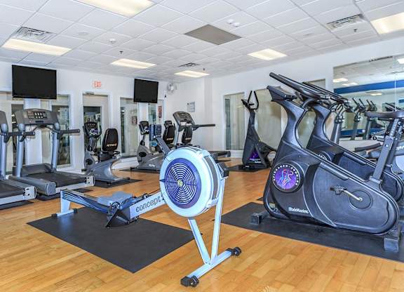 A gym with a row of treadmills and elliptical machines.