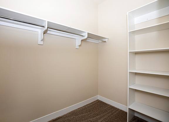 A white shelf is on the right side of the image.