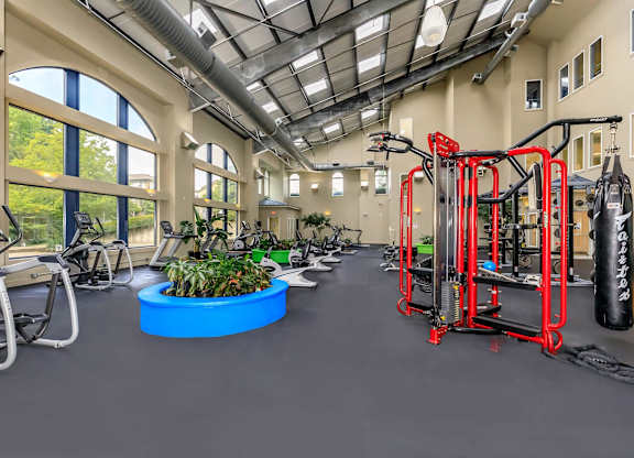 A gym with a variety of equipment including treadmills, stationary bikes, and a punching bag.