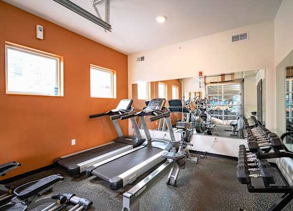 A gym with treadmills, elliptical machines, and other exercise equipment.