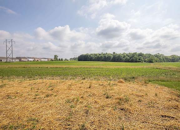 A field with dry grass and a cloudy sky.