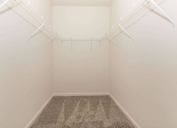 A room with a carpet and two white shelves.