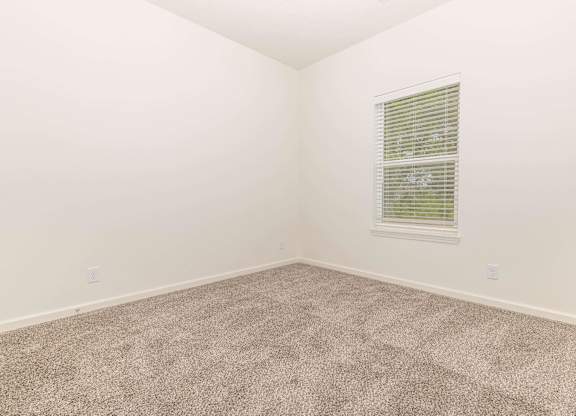 A room with a carpeted floor and a window with blinds.