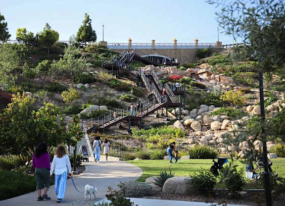 People Walking a Dog in a Park at The Brynn, San Diego, CA, 92108