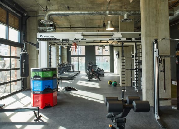 a workout room with weights and other gym equipment at The Audubon New Haven, New Haven