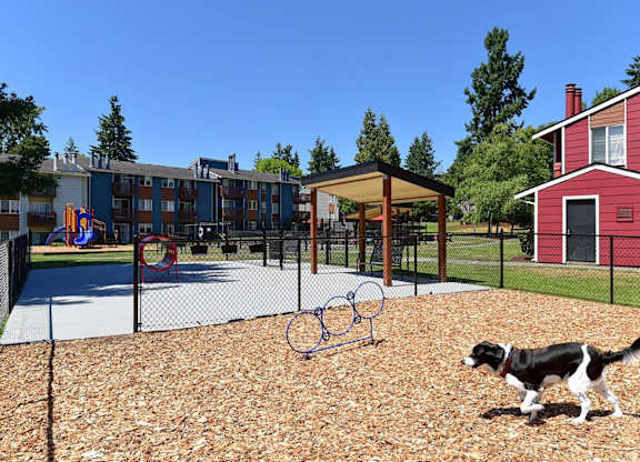 A dog is playing in a playground with a basketball hoop. at Brookstone, SeaTac, WA, 98198