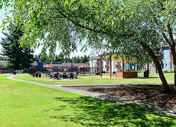 A tree in a grassy area with a building in the background. at Brookstone, Washington, 98198