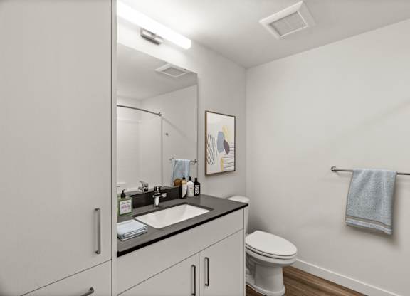 a bathroom with a sink and a toilet and a mirror at Baldwyn, Seattle, WA