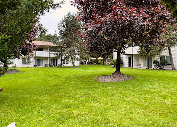 Lush Green Lawn at Arbor Pointe, Lakewood, 98498