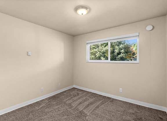 A room with a carpeted floor and a window showing trees outside.