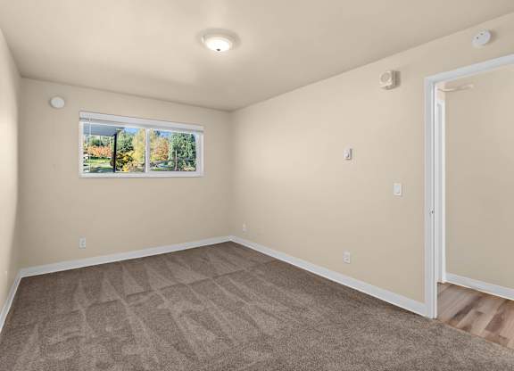 A room with a carpeted floor and a window showing trees outside.