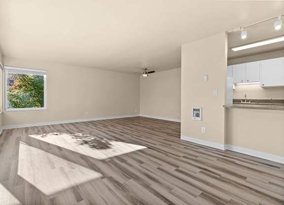 A room with wooden flooring and a window showing greenery outside.