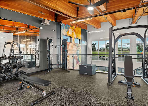 A gym with a variety of equipment including a bench press, a squat rack, and a barbell.