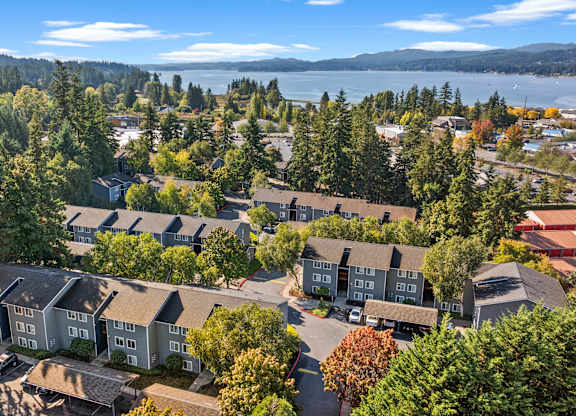 A bird's eye view of a residential area with houses surrounded by trees.