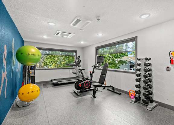 A gym room with a row of dumbbells and a stationary bike.