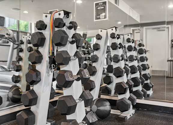 A gym with a rack of dumbbells and a mirror.