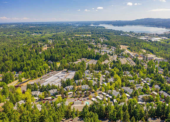 A bird's eye view of a residential area surrounded by trees and a body of water.