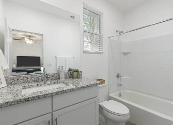 A bathroom with a white toilet, sink, and bathtub.
