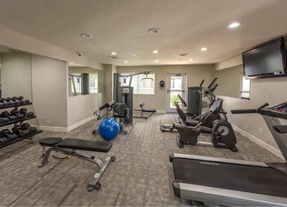 A gym with a variety of equipment including a treadmill, weights, and a bench press.