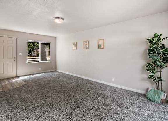 A room with a grey carpet and a plant on the right side.