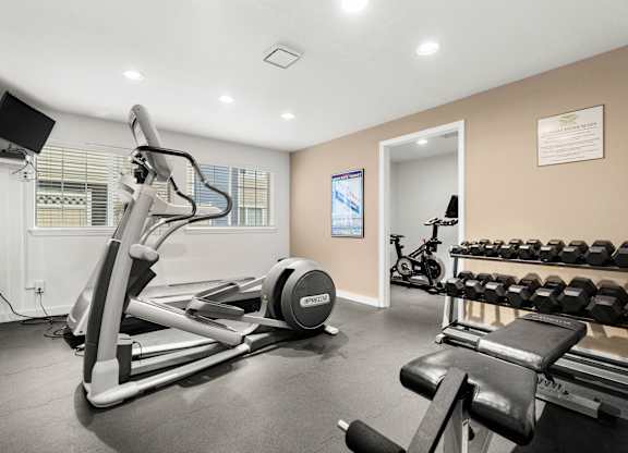 A gym with a treadmill, weights, and exercise equipment.