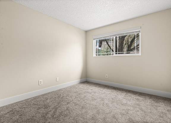 A room with a window and carpeted floor.