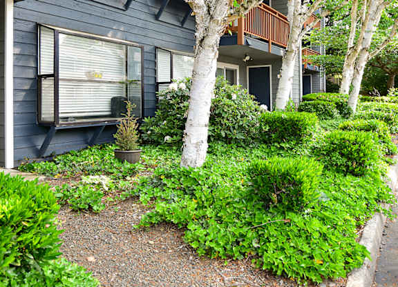 the exterior of the house is painted in a dark gray color with white birch trees and